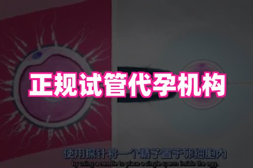 长沙助孕网站 2
